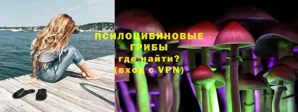 мет Аркадак