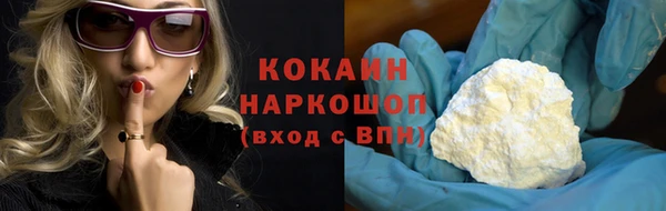гашик Арсеньев