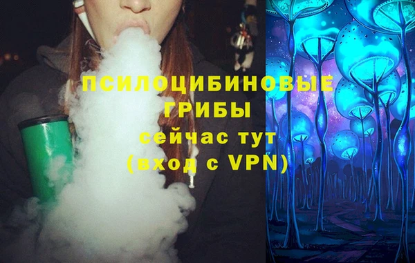 мет Аркадак
