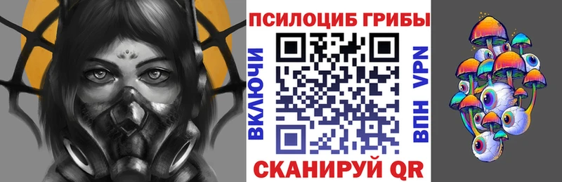 Галлюциногенные грибы GOLDEN TEACHER  купить наркотики цена  Гороховец 